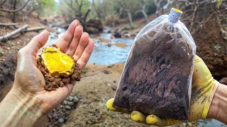 ¡Compré 1.000 DÓLARES de tierra para encontrar ORO!