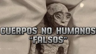 Cuerpos no humanos “Falsos”