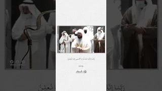 الشيخ ماهر المعيقلي