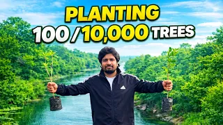 Can We Plant 10,000 Trees? 🌳| 1,600 Trees Done | 100 Trees in 1 Day Challenge