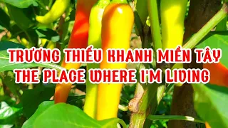 MỜI CẢ NHÀ CÙNG ĐI THAM QUAN KHU VƯỜN CỦA TRƯƠNG THIẾU KHANH NHA! 😊