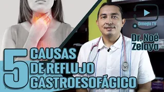 👨🏻‍⚕️REFLUJO GASTROESOFAGICO: causas, síntomas y tratamiento - Dr. Zelaya