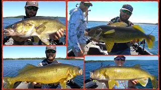 INSANE BIG Walleye BEATDOWN! Summer Walleye Fishing Pattern