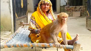 मंकी रानी पूरे गांव में घूमती हैं😀।।Monkey queen roams all over the monkey With Poopy।।,🤗🤗