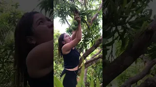 Tambayan namin sa Bukid