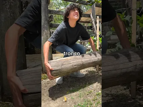 RECUPERANDO MIS PODERES DE GRANJERO 🤠