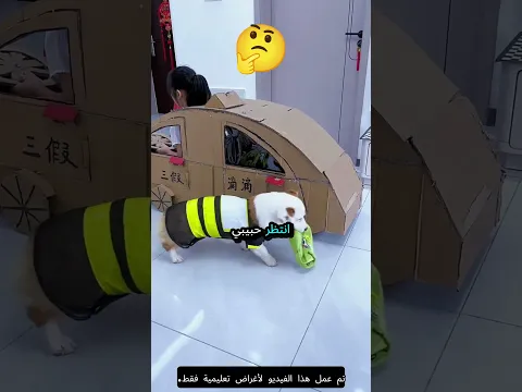 أنا أركب التاكسي مع زوجي! 🚖👫