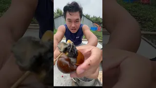Ăn Ốc Bưu Vàng Luộc Nước Dừa Chấm Cơm  Mẻ