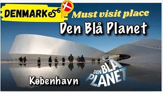 🇩🇰Denmark లో must visit place "Den Blå Planet"🐢🐋🐟🐳🐙National Aquarium🤩చాలా బాగుంది🤩 #denblaplanet#fyp