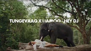Tungevaag, Liamoo - Hey DJ (Official Music Video)