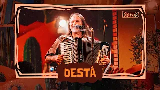 DESTÁ - Dorgival Dantas (Raizes)