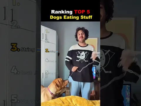 Ranking TOP 5 Dogs Eating Random Stuff 😱😭