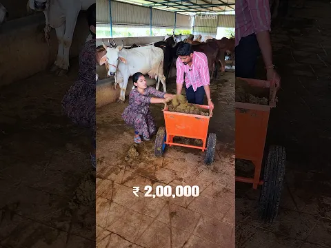 😱சாணியை வச்சே Business-ஆ #business #cow #cowdung