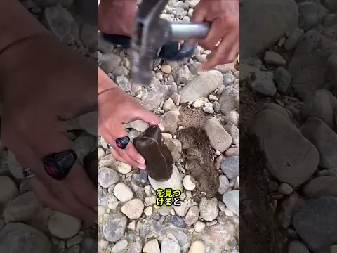 浜辺で魚の口のような石を見つけた時 🐚💎