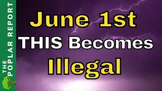 June 1st THIS Became Illegal - How To Stock Up NOW After the Ban