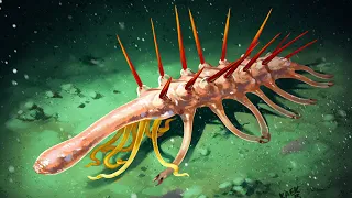 What on Earth Was Hallucigenia?