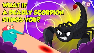 How Does Scorpion Sting? | Scorpion Venom Effects | Most Deadliest Scorpions | Dr. Binocs Show