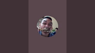 Docos YTS Videos sedang live sekarang!