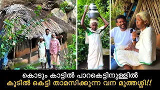 കൊടും കാട്ടിൽ പാറകെട്ടിനുള്ളിൽ കുടിൽ കെട്ടി താമസിക്കുന്ന വന മുത്തശ്ശി | Wayanad