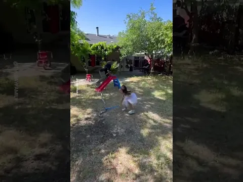 Hilarious Fake Snake Prank On Husband 😂🐍