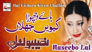 Hai Vichora - Best of Naseebo Lal - HI-TECH MUSIC