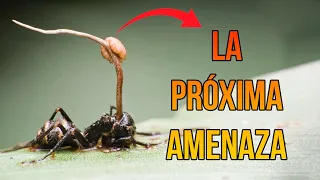 La pandemia de la que nadie habla