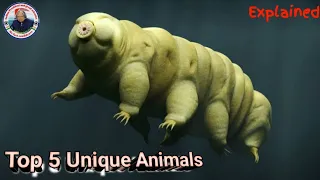 Sea animals | 5 विचित्र जीव जंतु | Top 5 Unique Animals | Mr Fact Confidence