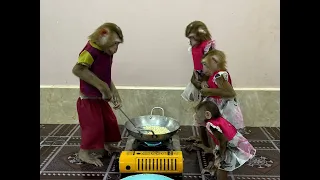 4 Siblings Standing Up Very Obediently Waiting Mom To Cook Dinner Treat For Them To Eat very Yummy!!