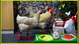 🎄 UNA NAVIDAD INOLVIDABLE JUNTO A LINO Y BELLA ¡regalos y cena! 🐔🎁/LinoelGalloconBotas