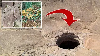 اكتشاف في حفرة باليمن يلفت أنظار الباحثين