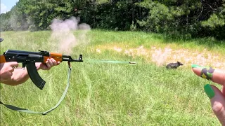 CHARGED by Wild Hogs! Stalking Pigs with AK-47