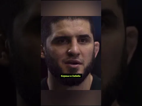 Кого бы взял с собой Ислам Махачев в уличной драке #ufc #mma #islammakhachev