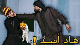 ابو عرب جاب اسد ع البيت 😱 بس أبو غدر فيه 😢💔