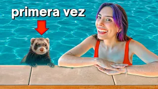 MIS HURONAS SE METEN A LA PISCINA POR PRIMERA VEZ !!