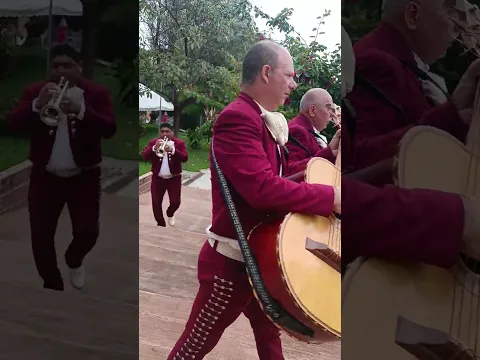 mariachi oro y plata de el salvador
