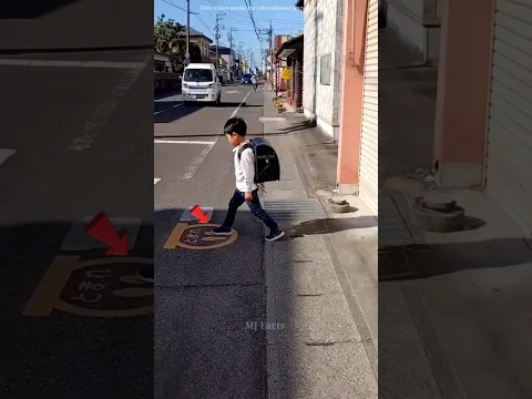 जापान में बच्चे सड़क पार ऐसे करते हैं #shortvideo