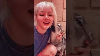 🐾 Un pedacito de mi vida en 11 minutos ✨