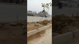 Kachhua hai 🥰🥰🥰🥰