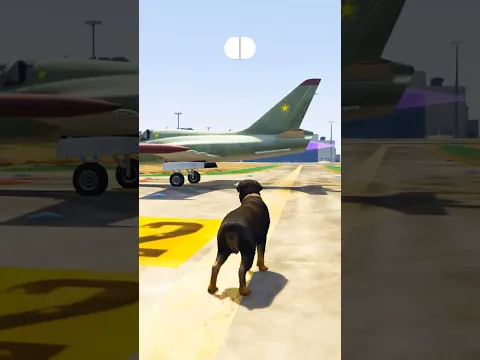 GTA5 : Dogs Teach Us Love In Its Purest Form 🥰🥺💔 Part-5 #shorts #shortsfeed #gta5