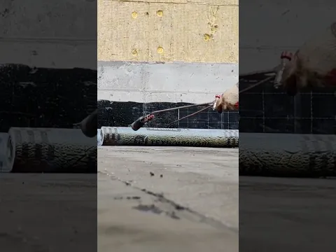 Roof work