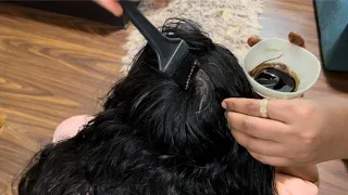 ये बालो को इतना काला कर देगा की हेयर डाई भूल जाओगे - 100% Natural Black Hair