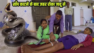 भारत का ऐसा साँप जिसे देख पाना मुश्किल,काट लिया बच्चे को मंत्र से रोका ज़हर, video से बचेगी कई की जान