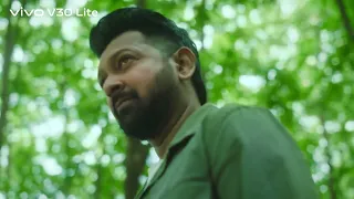 vivo V30 Lite | Inspired by Nature