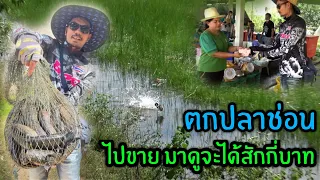 ตกปลาช่อนไปขาย ด้วยกบยางUSA มาดูกันครึ่งวัน น้าโอ๊ตจะขายปลาได้กี่บาท