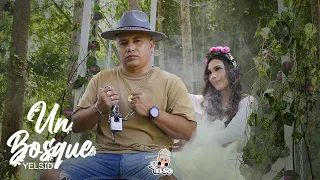 Yelsid - Un Bosque | Vídeo Oficial