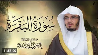 بث مباشر راحة للقلب 🤍 قرآن كريم يريح النفس ❤️