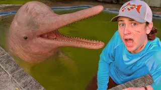 I Found Dolphins in an Abandoned Pool!
