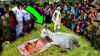 bakri ne sher ke bacche ko pala | bakri ne sher ka baccha pala | bakri aur sher ke bacche ka waqia