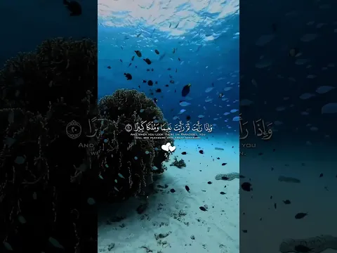 نظف اذنك #اشترك_بل_قناة_وفعلو_الجرس_ليصلكم_كل_جديد #اشترك_بل_قناة_وفعلو_الجرس_ليصلكم_كل_جديد