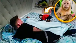 ACORDEI MEUS AMIGOS COM UM MACACO